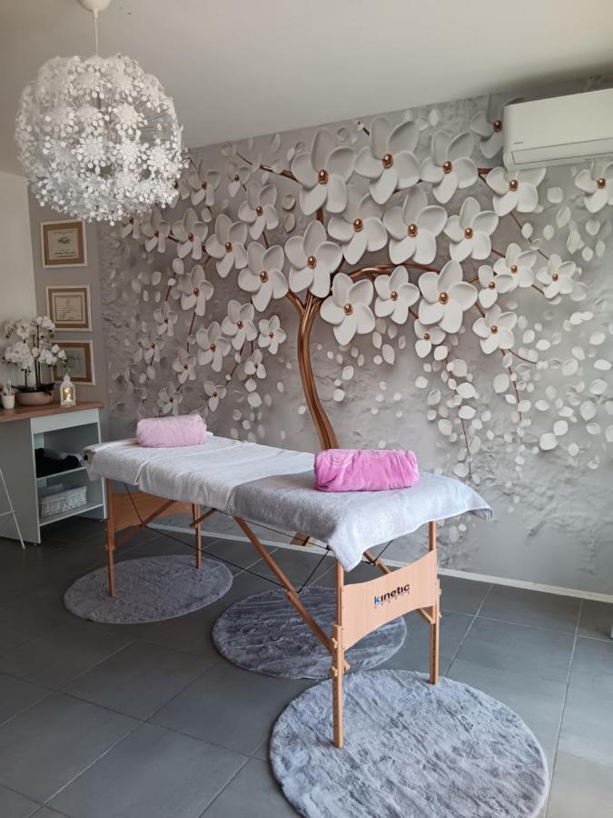 Chambre Cosy Non Fumeur Apartment Chateaurenard Ngoại thất bức ảnh